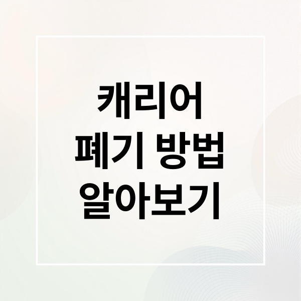 캐리어
폐기 방법
알아보기 (여행용 캐리어 폐기 방법)