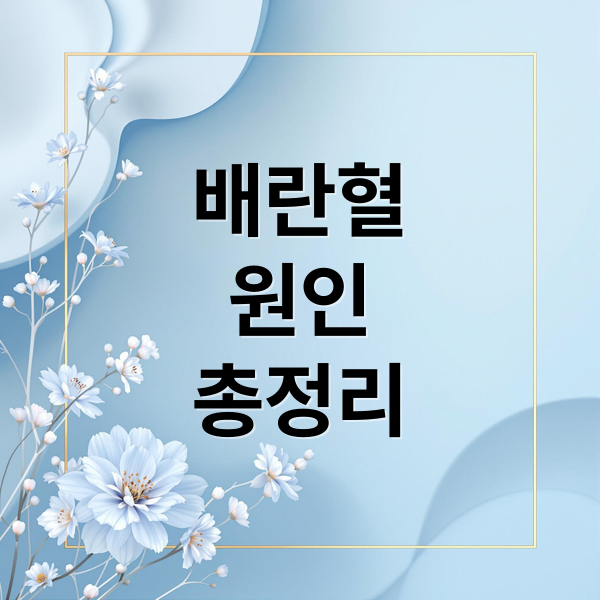 배란혈
원인
총정리 (배란혈)