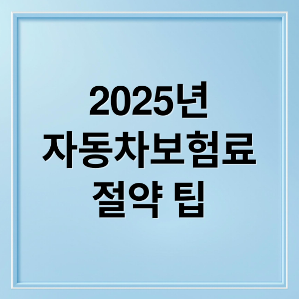 2025년
자동차보험료
절약 팁 (자동차보험 비교)