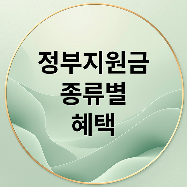 정부지원금
종류별
혜택 (정부지원금 신청 자격)