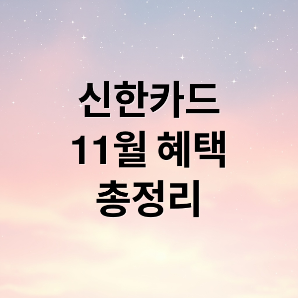 신한카드
11월 혜택
총정리 (11월 신한카드 혜택)