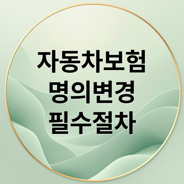 자동차보험
명의변경
필수절차 (자동차 보험 명의 변경)