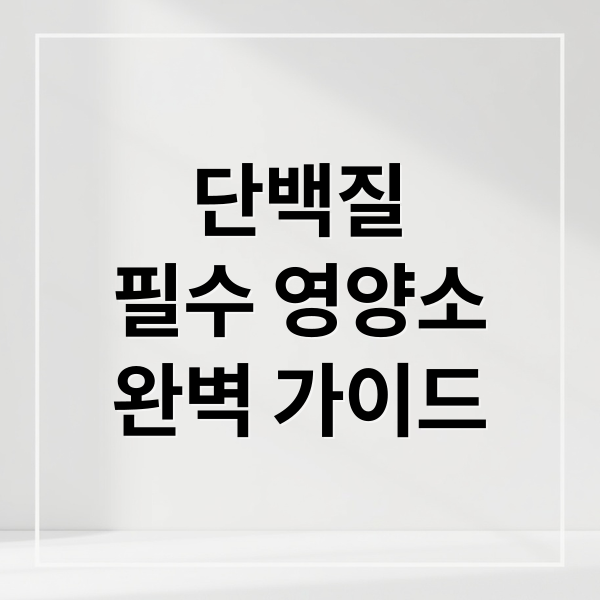 단백질
필수 영양소
완벽 가이드 (단백질 많이 포함된 음식들 추천)