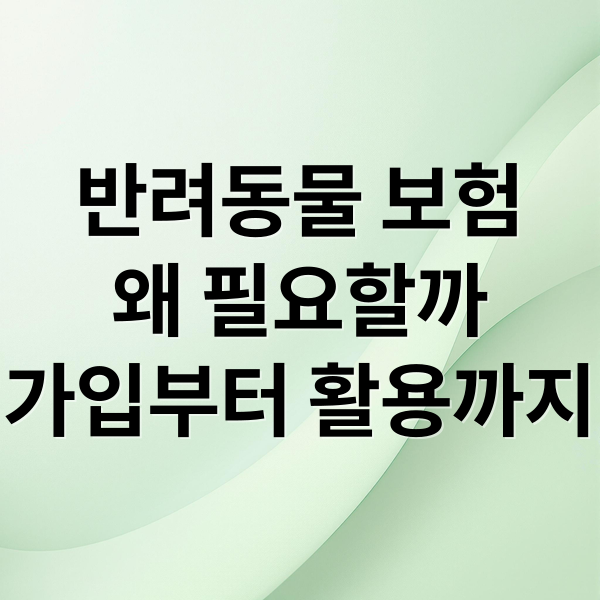 반려동물 보험
왜 필요할까
가입부터 활용까지 (반려동물 보험)