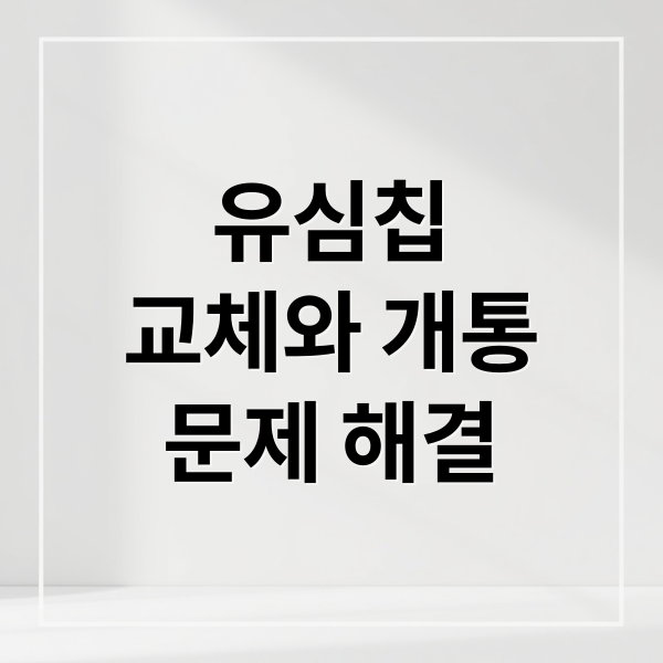 유심칩
교체와 개통
문제 해결 (유심칩 교체)