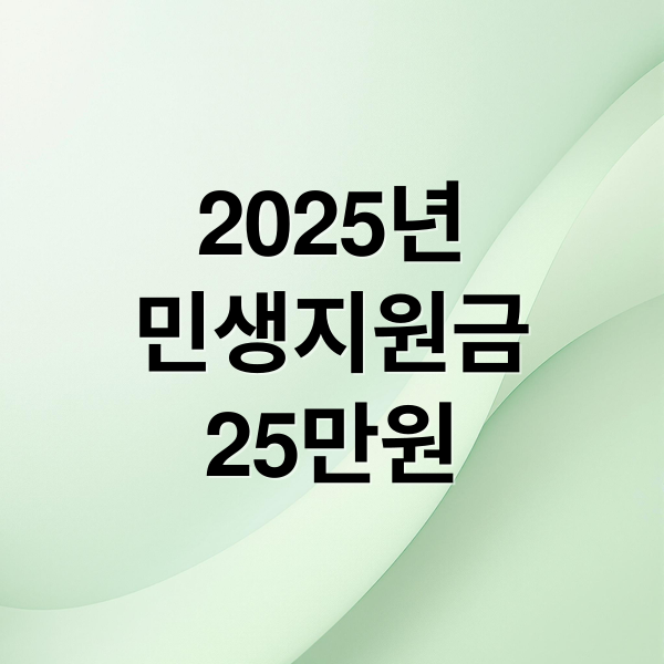 2025년
민생지원금
25만원 (25만원 이재명 공약 지급시기)
