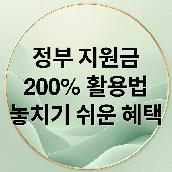 정부 지원금
200% 활용법
놓치기 쉬운 혜택 (대부분 놓치는 혜택 한눈 총정리 가이드)