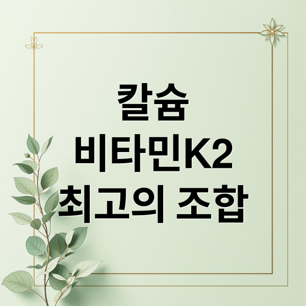 칼슘
비타민K2
최고의 조합 (칼슘 영양제 비타민 K2 골밀도)