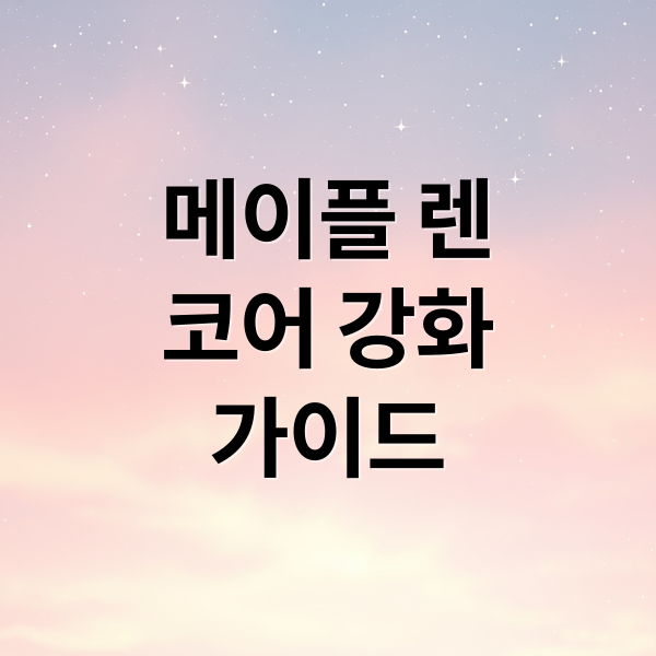 메이플 렌
코어 강화
가이드 (메이플스토리 렌 코어강화)