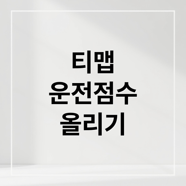 티맵
운전점수
올리기 (티맵 운전점수 올리기)