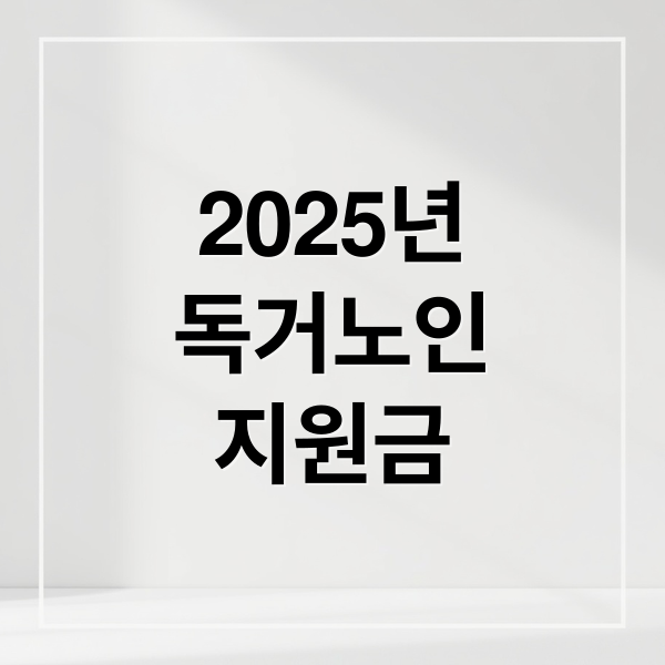 2025년
독거노인
지원금 (독거노인 지원금 신청)