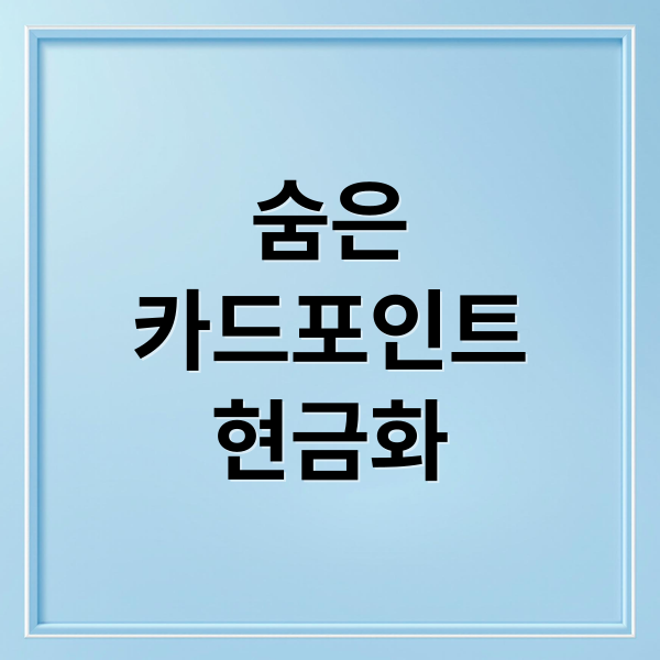 숨은
카드포인트
현금화 (카드 포인트 현금화 통합 조회: 어카운트인포 앱으로 1분 만에 계좌 입금받기)