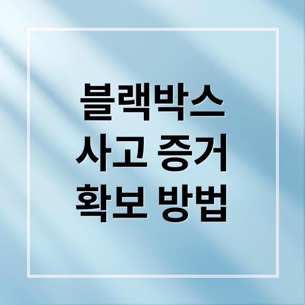 블랙박스
사고 증거
확보 방법 (자동차 블랙박스 영상확인)