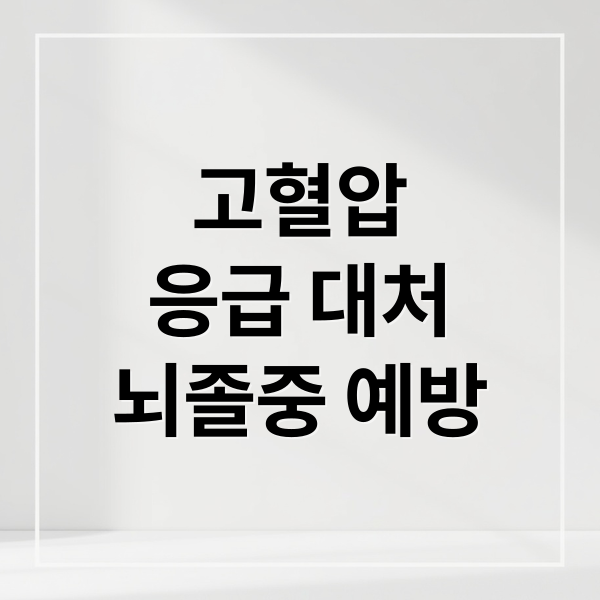 고혈압
응급 대처
뇌졸중 예방 (혈압 170 응급 대처)