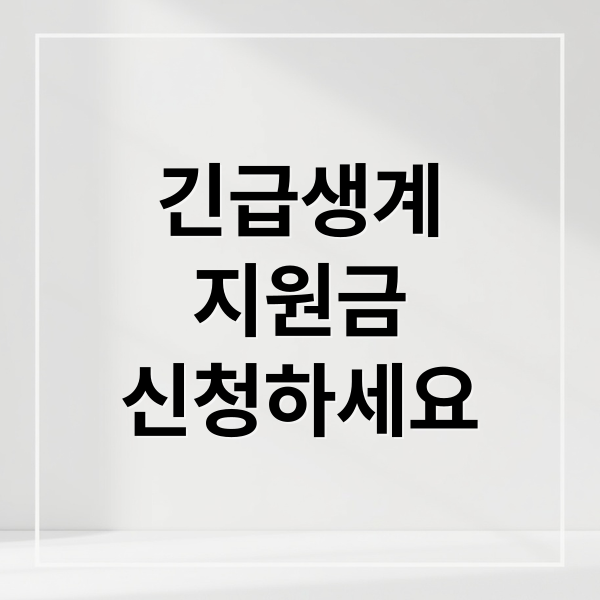 긴급생계
지원금
신청하세요 (긴급생계지원금)