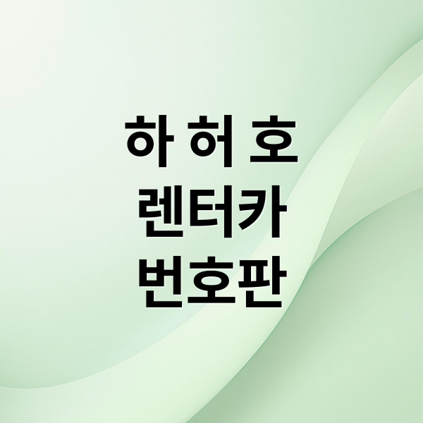 하 허 호
렌터카
번호판 (차량 번호판 하 허 호 비밀)