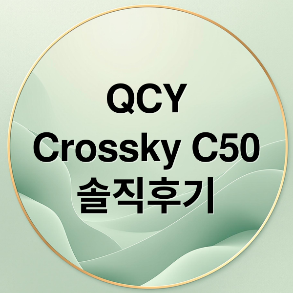 QCY
Crossky C50
솔직후기 (QCY Crossky C50)