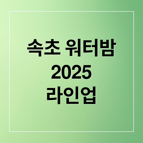 속초 워터밤
2025
라인업 (속초 워터밤 축제)