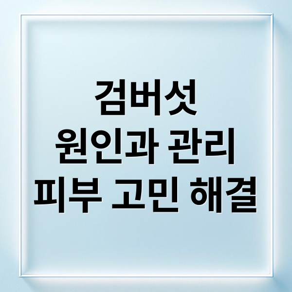 검버섯 관리 가이드