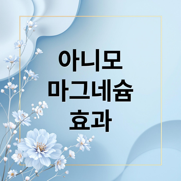 아니모 마그네슘 효과
