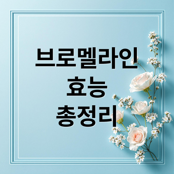 브로멜라인
효능
총정리 (브로멜라인 효능 부작용 섭취량)