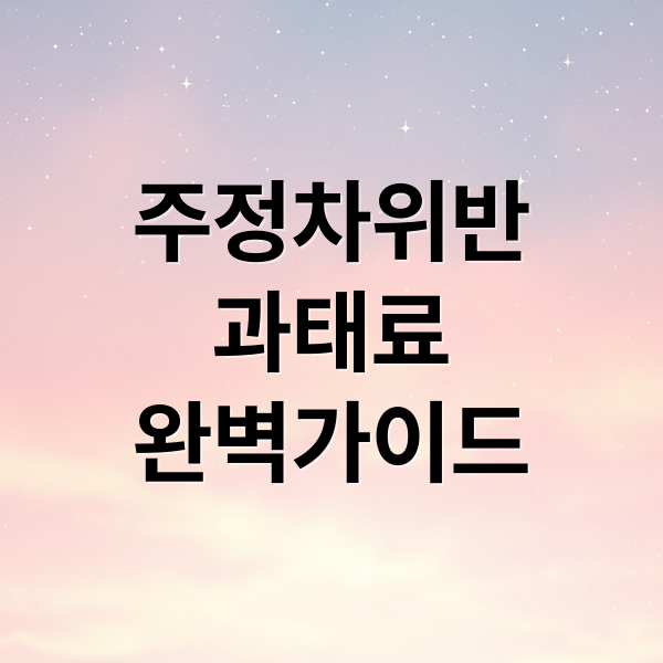 주정차위반
과태료
완벽가이드 (주정차 위반 과태료 조회)