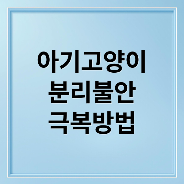 아기고양이
분리불안
극복방법 (아기 고양이 분리 훈련 5단계)