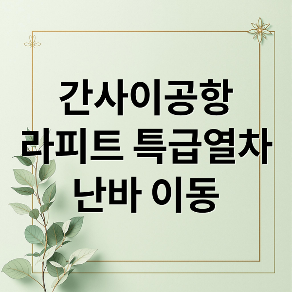 간사이공항
라피트 특급열차
난바 이동 (라피트 특급열차 시간표 가격)