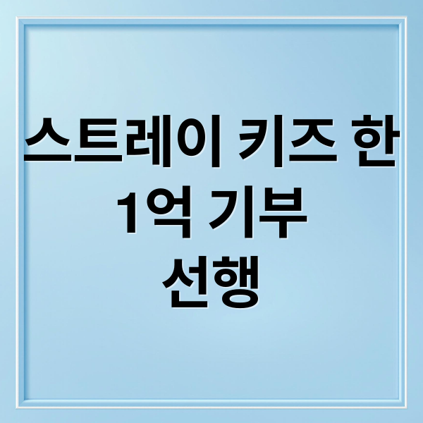 스트레이 키즈 한
1억 기부
선행 (스트레이 키즈 삼성서울병원 기부)