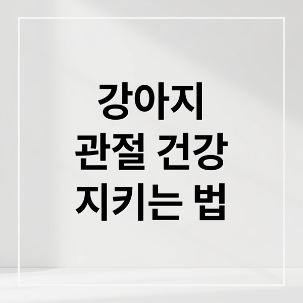 강아지
관절 건강
지키는 법 (강아지 관절 영양제 관절염 예방)