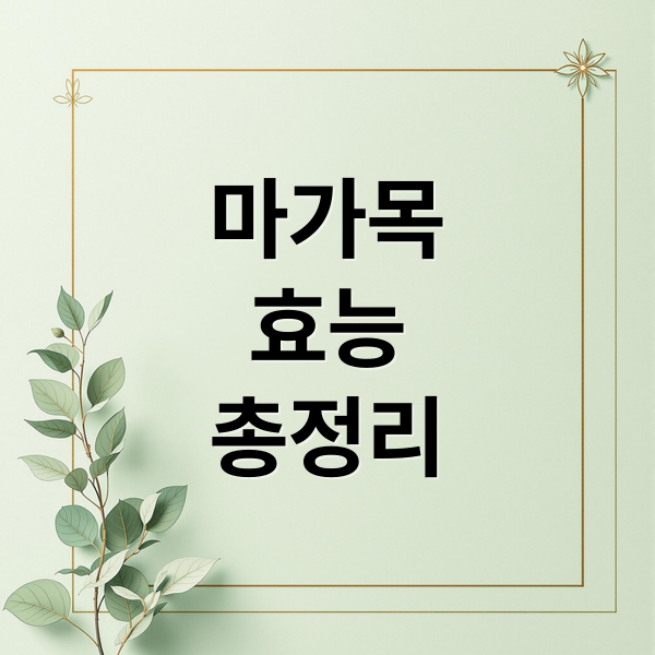 마가목
효능
총정리 (마가목)