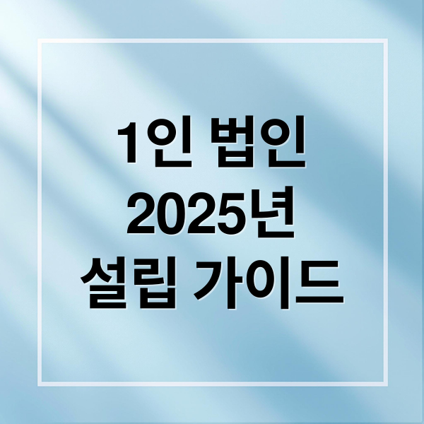 1인 법인
2025년
설립 가이드 (2025년 1인 법인 설립 절차 비용 세무)