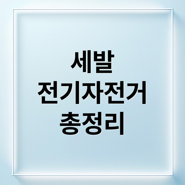 세발
전기자전거
총정리 (세발 전기자전거)