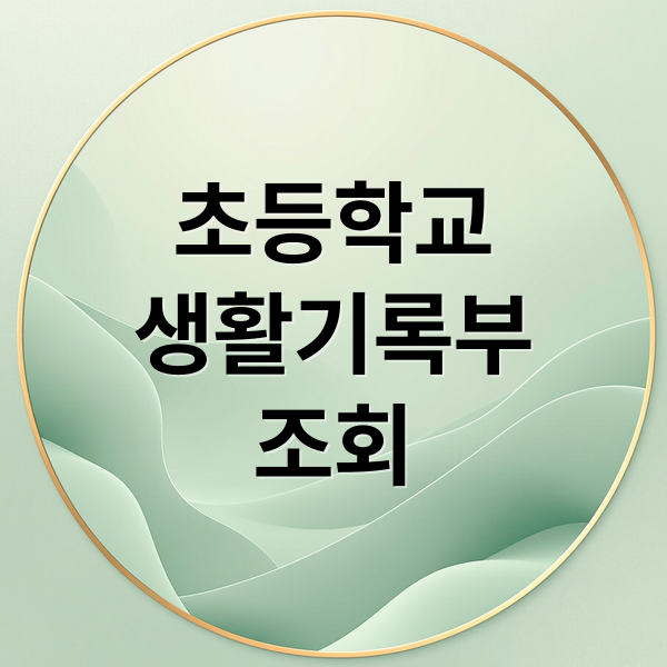 초등학교
생활기록부
조회 (초등학교 생활기록부 조회 정부24)