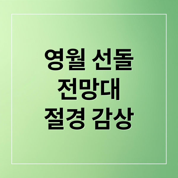 영월 선돌
전망대
절경 감상 (영월 선돌 전망대)