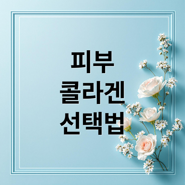 피부
콜라겐
선택법 (피부, 잇몸, 신장 건강식품! 효과적인 선택 방법은?)