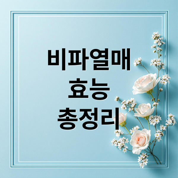 비파열매
효능
총정리 (비파열매 효능 먹는법)