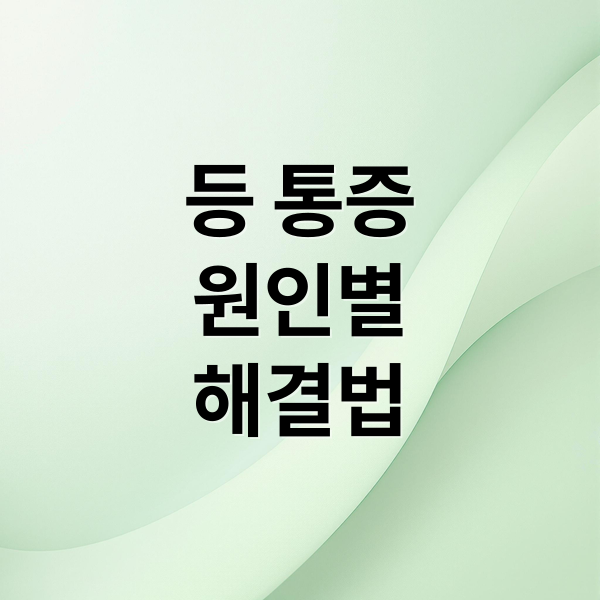등 통증
원인별
해결법 (등 통증 원인)
