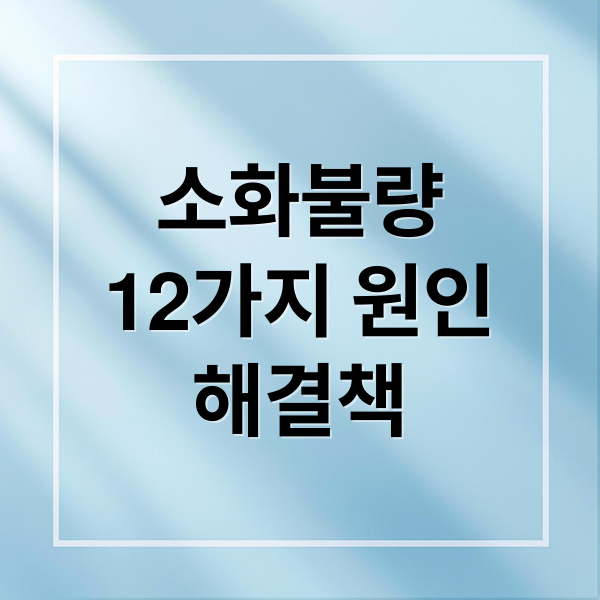 소화불량
12가지 원인
해결책 (소화불량 원인 12가지)