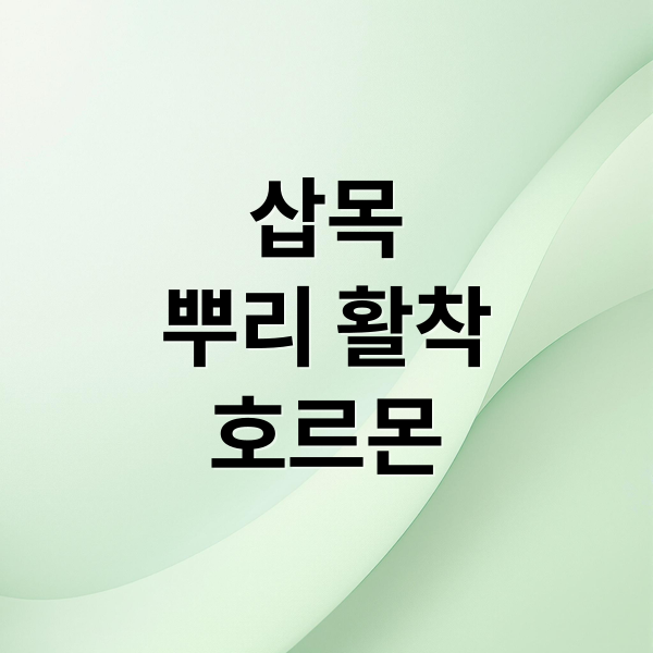 삽목
뿌리 활착
호르몬 (삽목 뿌리 활착 호르몬)