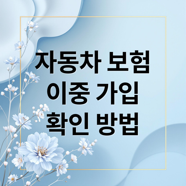 자동차 보험
이중 가입
확인 방법 (모르고 가입하면 손해! 자동차 보험 이중가입 여부 지금 당장 확인하세요)
