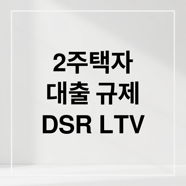 2주택자
대출 규제
DSR LTV (2주택자 대출 규제 DSR LTV)