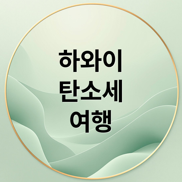 하와이탄소세여행 (하와이 여행 탄소세)