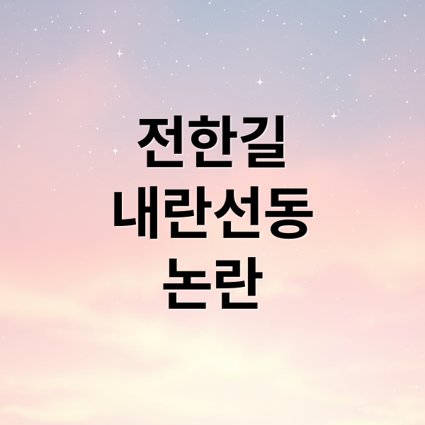 전한길
내란선동
논란 (내란 선동혐의, 전한길 귀국)
