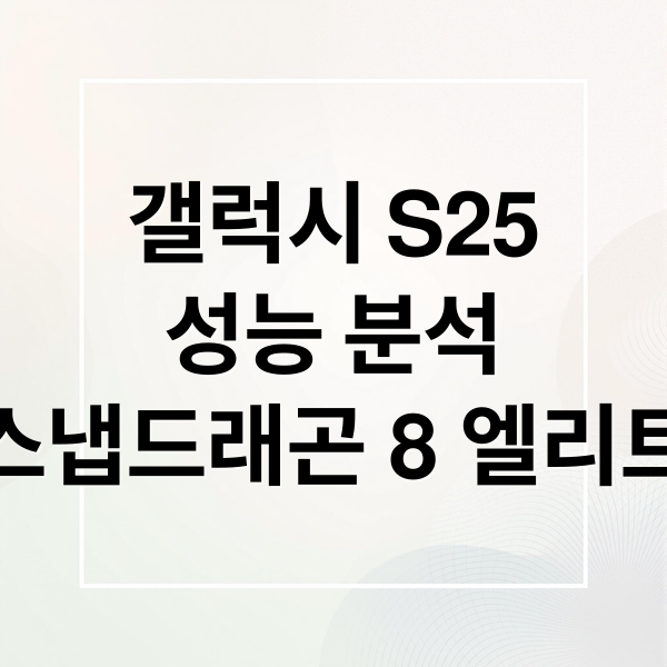 갤럭시 S25
성능 분석
스냅드래곤 8 엘리트 (갤럭시 S25 성능)
