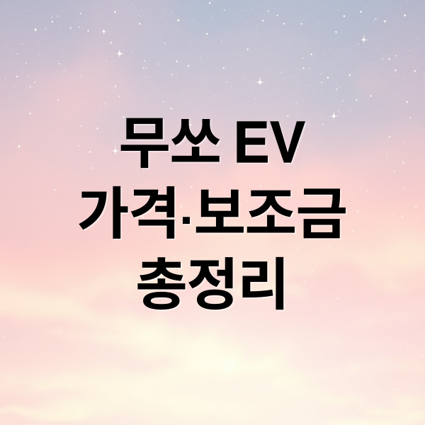 무쏘 EV
가격·보조금
총정리 (KGM 무쏘 EV 계약)