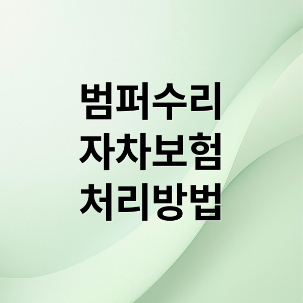 범퍼수리
자차보험
처리방법 (자동차 자차 보험처리 범퍼교환 자기비용)