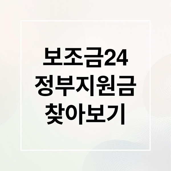 보조금24
정부지원금
찾아보기 (보조금24 사용법)