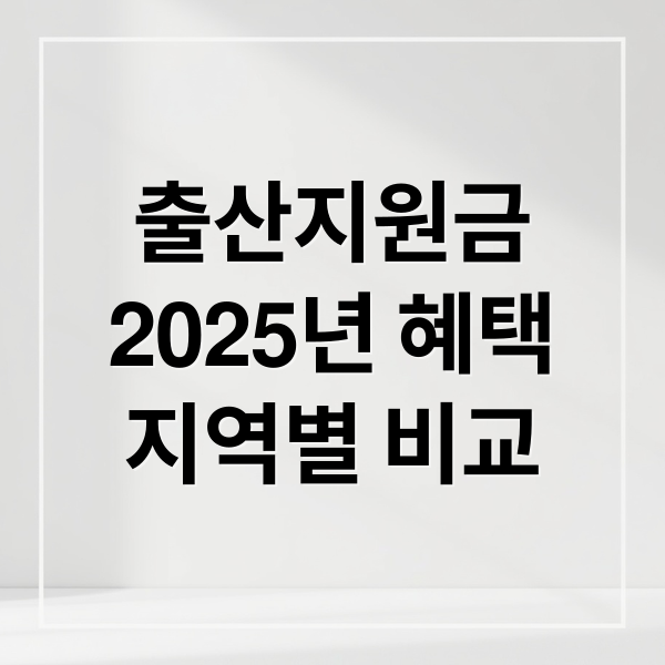 출산지원금
2025년 혜택
지역별 비교 (출산지원금)
