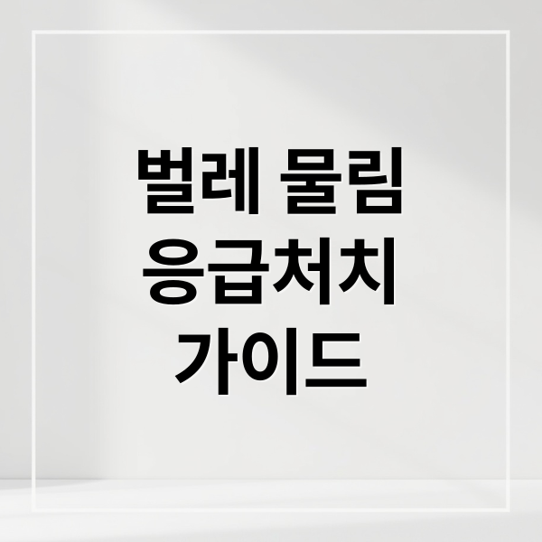 벌레 물림
응급처치
가이드 (여름 벌레 물림 대처법)